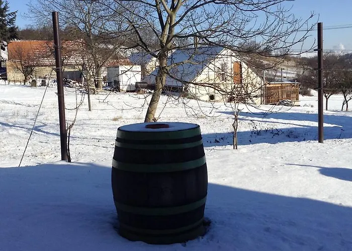 Casa de Férias Vinny Sklipek U Sidonie Vlkos